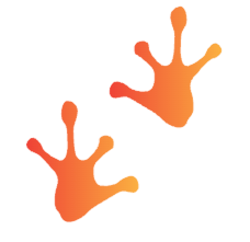 leapd.ai
